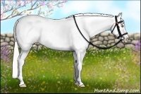 Horse Color:Silver Classic Champagne Splash Frame Appaloosa