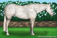 Horse Color:Palomino Ice Pearl Sabino 