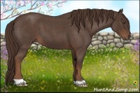 Horse Color:Liver Red Roan 