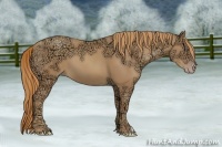 Horse Color:Gold Champagne Ice 