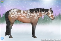 Horse Color:Bay Ice Roan 