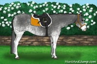 Horse Color:White Spotted Black 