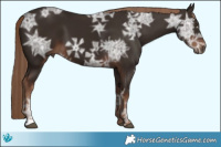 Horse Color:Liver Chestnut Ice 