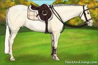 Horse Color:Silver Buckskin Pearl Dun Frame Rabicano 
