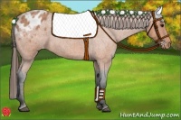 Horse Color:Bay Roan Appaloosa 