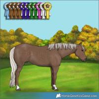Horse Color:Silver Black 