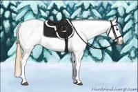 Horse Color:Buckskin Roan Splash Tobiano Blanket