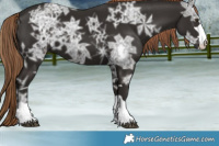 Horse Color:Liver Chestnut Ice 