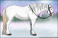 Horse Color:Buckskin Splash Snowflake Varnish