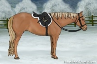 Horse Color:Chestnut Frame