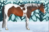 Horse Color:Brown Sabino Tobiano