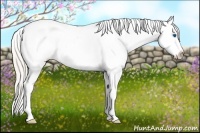 Horse Color:Silver Bay Roan Pearl Dun Splash Tobiano Appaloosa 