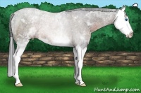 Horse Color:White Spotted Brown Splash Rabicano 