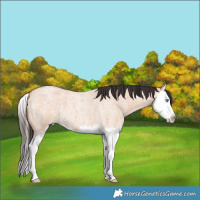 Horse Color:Bay Roan Dun Splash