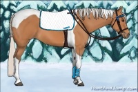 Horse Color:Silver Bay Tobiano