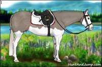 Horse Color:Silver Grullo Splash