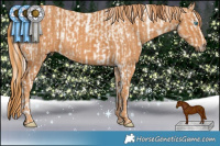 Horse Color:Cremello Ice Dun Sabino  Brindle