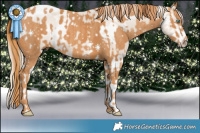 Horse Color:Smoky Creme Ice Tobiano  Brindle