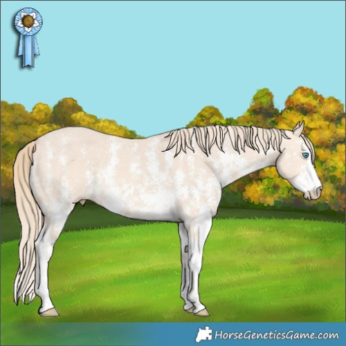Horse Color:Perlino Sabino  Brindle