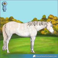 Horse Color:Perlino Sabino Brindle