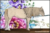 Horse Color:Perlino Brindle