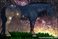 Horse Color:ERROR: UNKNOWN ANOMALY Brindle