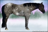 Horse Color:ERROR: UNKNOWN ANOMALY Brindle