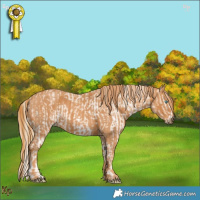 Horse Color:Perlino Sabino  Brindle