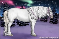 Horse Color:Smoky Creme Sabino Snowflake Varnish Brindle