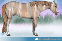 Horse Color:Red Dun Ice  Brindle