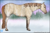 Horse Color:Red Dun Ice  Brindle