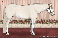 Horse Color:Perlino Sabino  Brindle