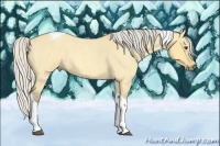 Horse Color:Silver Buckskin Roan Dun Tobiano