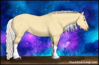 Horse Color:Silver Buckskin Roan Dun Tobiano