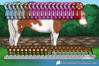 Horse Color:White Spotted Silver Bay Splash Tobiano Frame Rabicano 