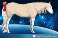 Horse Color:Silver Classic Champagne Dun Splash Frame