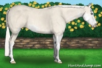 Horse Color:Cremello Sabino  Brindle