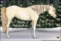 Horse Color:Gold Champagne Pearl Dun Tobiano 