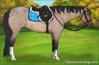 Horse Color:Bay Roan Dun