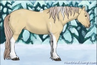 Horse Color:Palomino Dun Tobiano