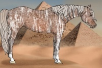 Horse Color:Silver Bay Ice 