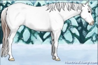 Horse Color:Brown Ice Snowcap 