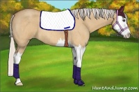Horse Color:Silver Bay Roan Dun Splash 