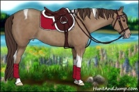 Horse Color:Classic Champagne Tobiano 