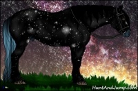 Horse Color:ERROR: UNKNOWN ANOMALY Brindle