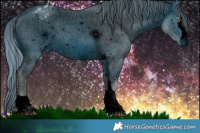Horse Color:ERROR: UNKNOWN ANOMALY Brindle
