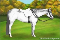 Horse Color:White Spotted Blue Roan Splash Frame Varnish 