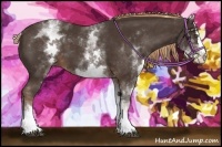 Horse Color:White Spotted Liver Chestnut Sabino Splash 