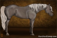 Horse Color:Silver Black 