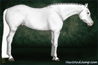 Horse Color:Silver Black Appaloosa 